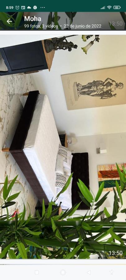 Suites 5* Lahcene Alicante Dış mekan fotoğraf