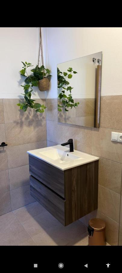 Suites 5* Lahcene Alicante Dış mekan fotoğraf